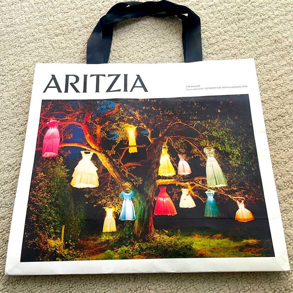 🔥Free With Any Purchase Aritzia Gift Bag